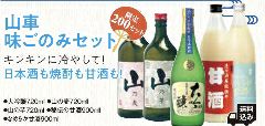 山車　味ごのみセット